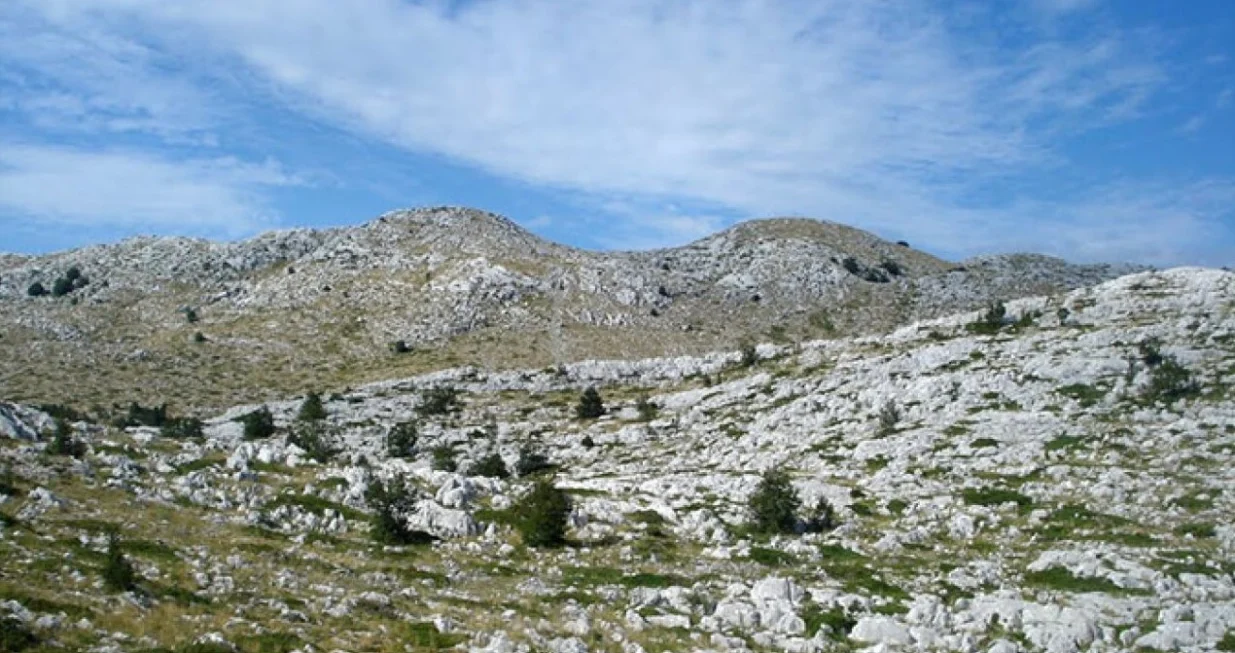 Hercegovački krš postao isplativa investicija/Ilustracija/