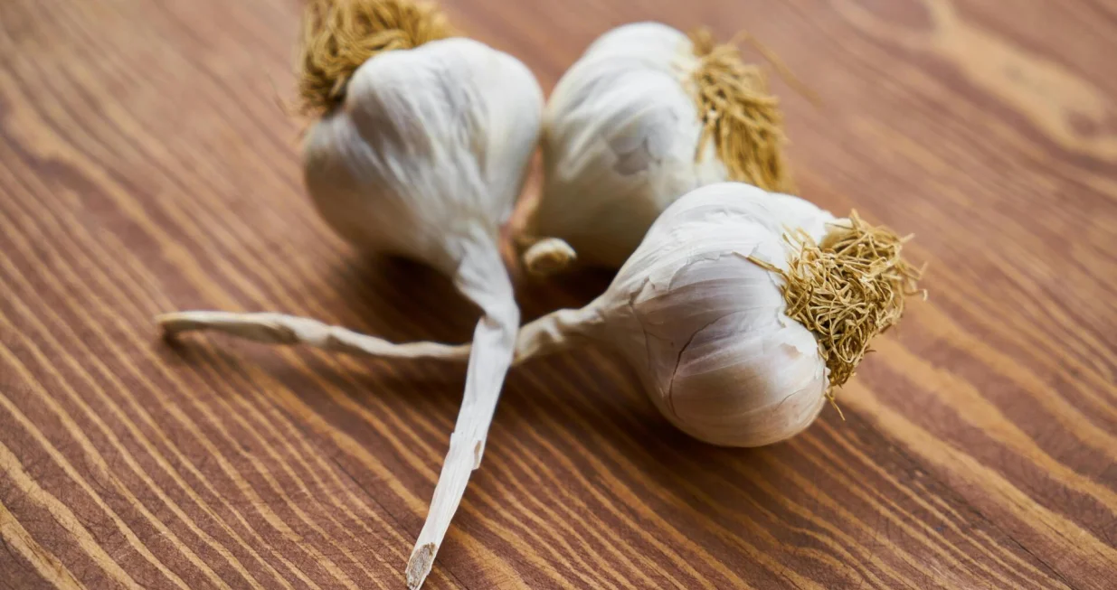 bijeli luk, češnjak/Pexels