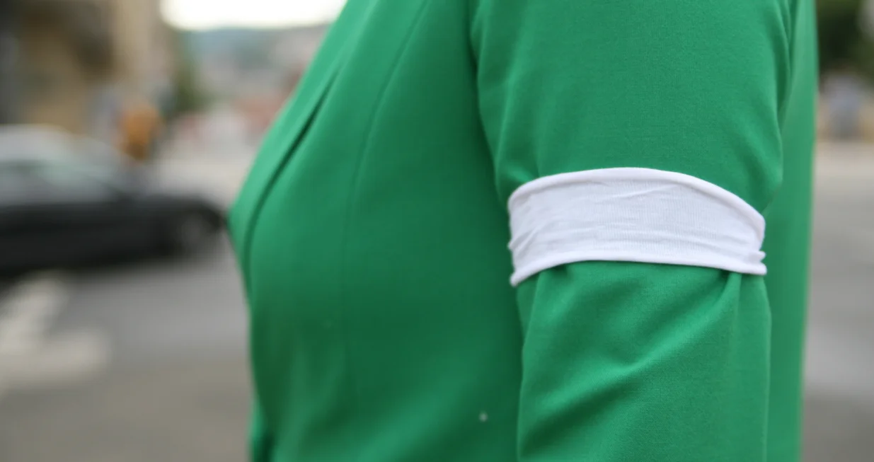 Dan bijelih traka/Damir Deljo