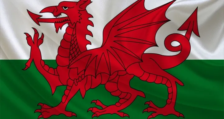Da li je ovo pozadina iza znamenite velške zastave?/