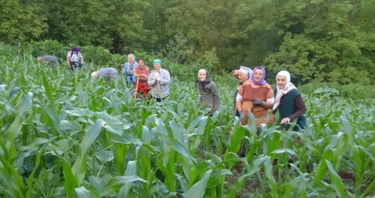 Foto: Mehmedović HD via Bh-Index/