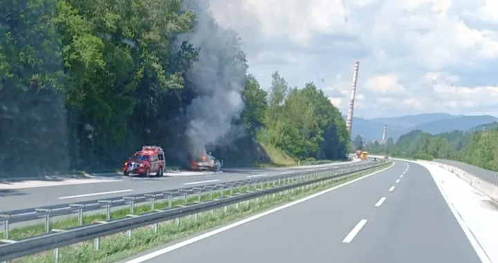 Nema informacija o povrijeđenima/Čitatelj/