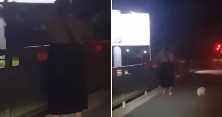 Žena cvijeće, bacanje, most, sarajevski most, žardinjere, vandalizam, Sarajevo/PrtSc/