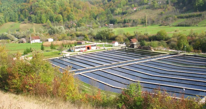 Tropic ribarstvo Ribnjak Janj/