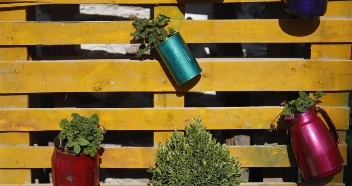 cvijece stara paleta/