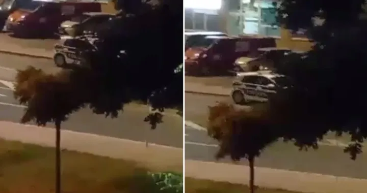 Intervenirali policajci/Printscreen/Čitatelj/