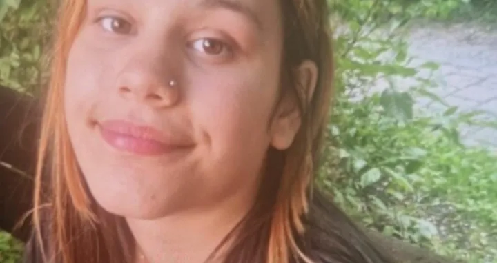Djevojčica je posljednji put viđena u subotu/Društvene mreže/