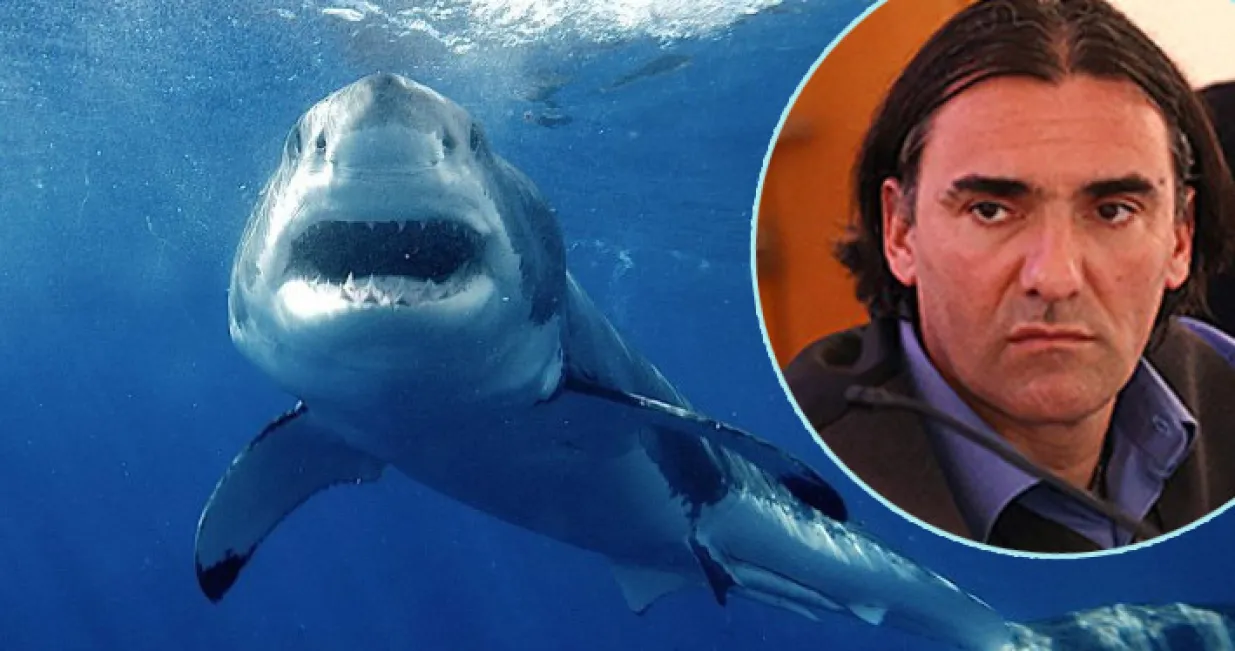 / alen soldo morski psi jadran/