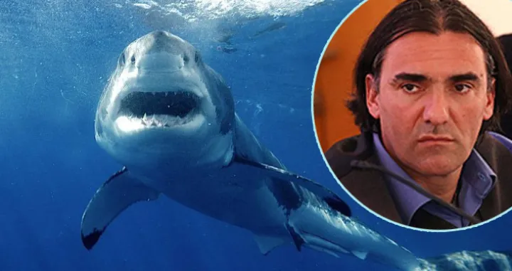 / alen soldo morski psi jadran/