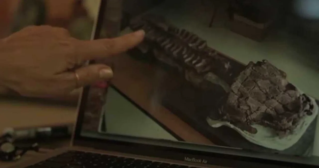 Gaiasia jennya vodozemac dinosauri/