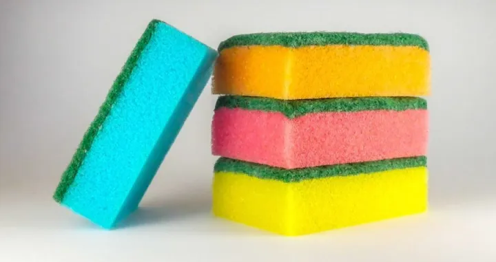 spužve ilustracija/