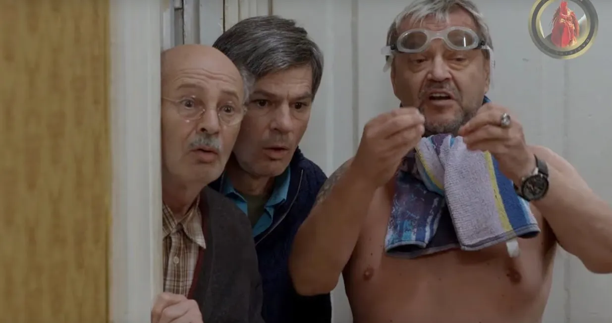 lud zbunjen normalanemir hadžihafizbegovićmustafa nadarević/