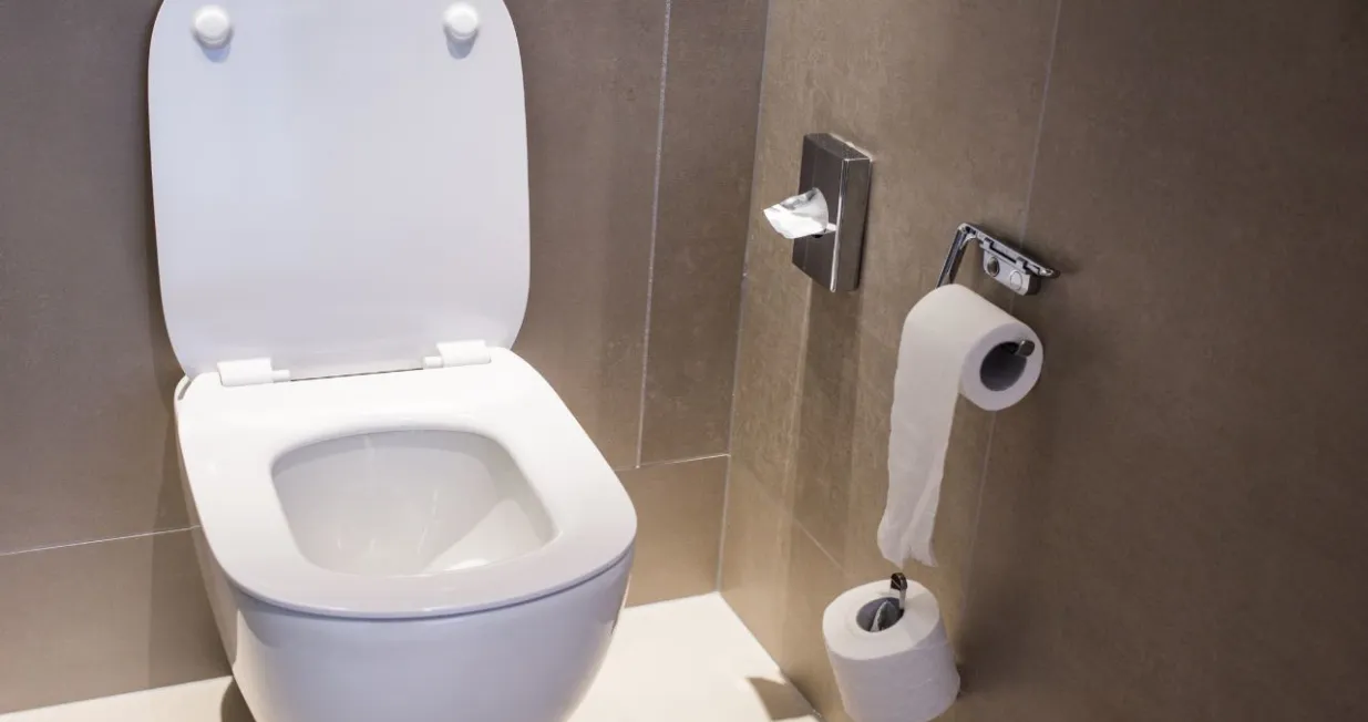 Općenito je potrebno izbjegavati bacati u WC školjku bilo što što nije namijenjeno za otapanje u vodi/ Ilustracija/Canva/