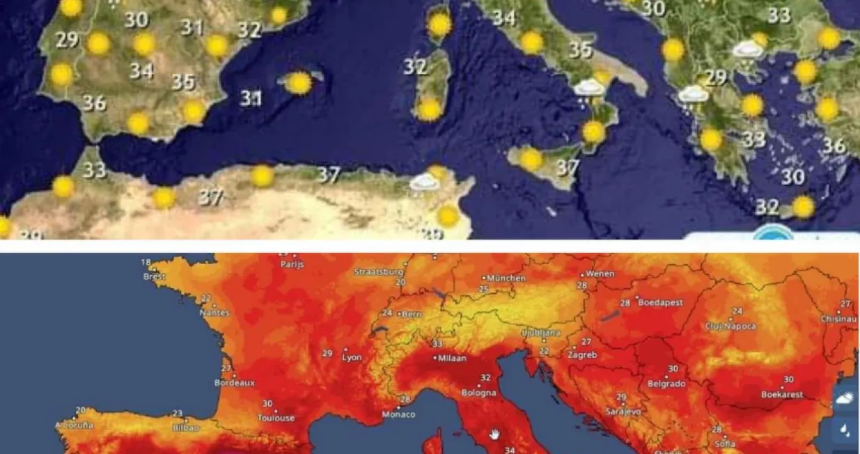 Sanel Kajan, propaganda horor ljeto/