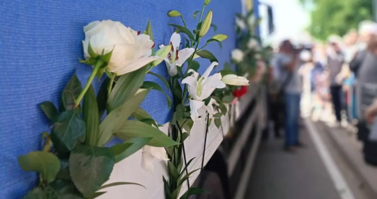 ljiljani žrtve ilustracija/Fena/