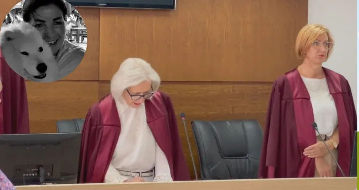 Presuda za ubistvo Amre Kahrimanović/S M