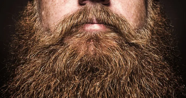 Istraživanje je pokazalo da ljudi vide muškarce s bradom kao zdravije i bolje borce/
