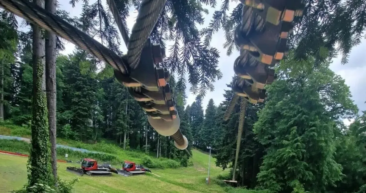 Zip line, zabavni park/Ilustracija/