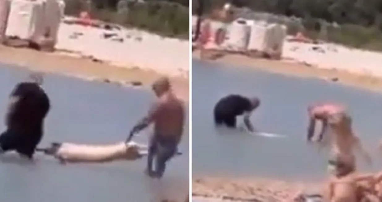 Prase na ražnju unijeli u more i "posolili" vodom/X/@duttwinston