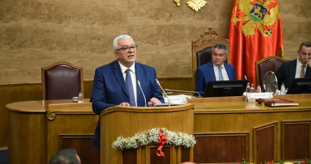 Andrija Mandić predložio je tekst Rezolucije/