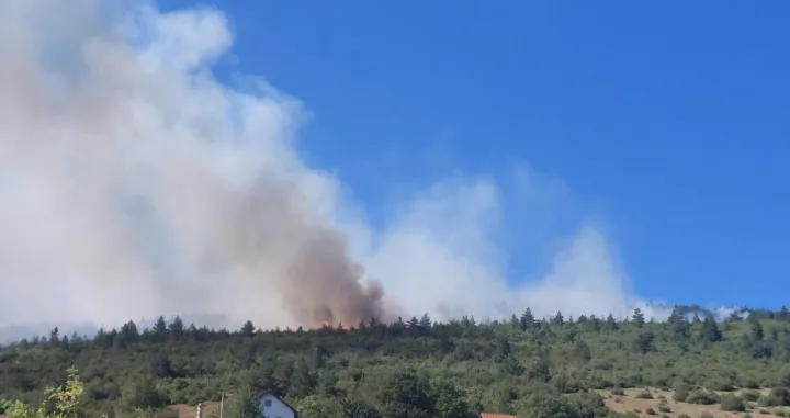 Požar ide nekoliko metara u visinu/ Srna/