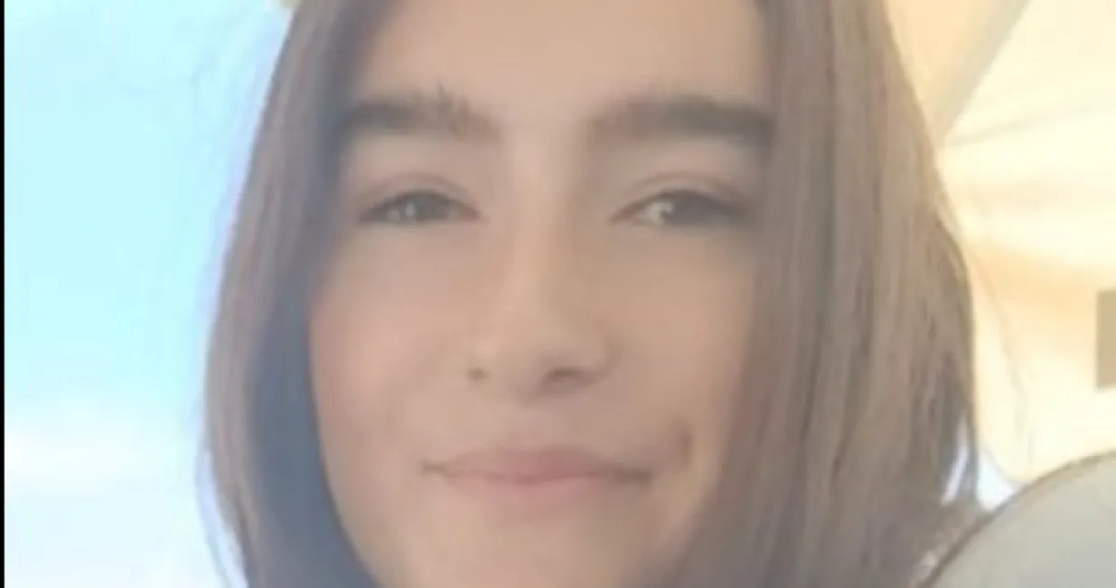 Djevojčica Ena, nestanak, Zenica/