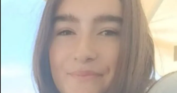 Djevojčica Ena, nestanak, Zenica/