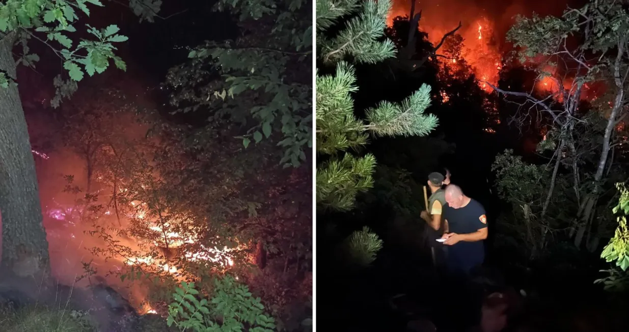 Željezno polje, požar/Namik Šahinpašić