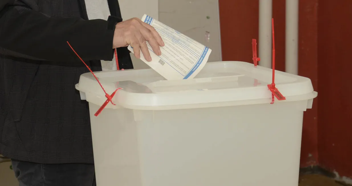 glasanje izbori ilustracija/Anadolija/Željko Miličević