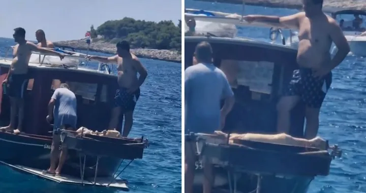 Janje i Jadran - ne idu baš skupa/ TikTok/