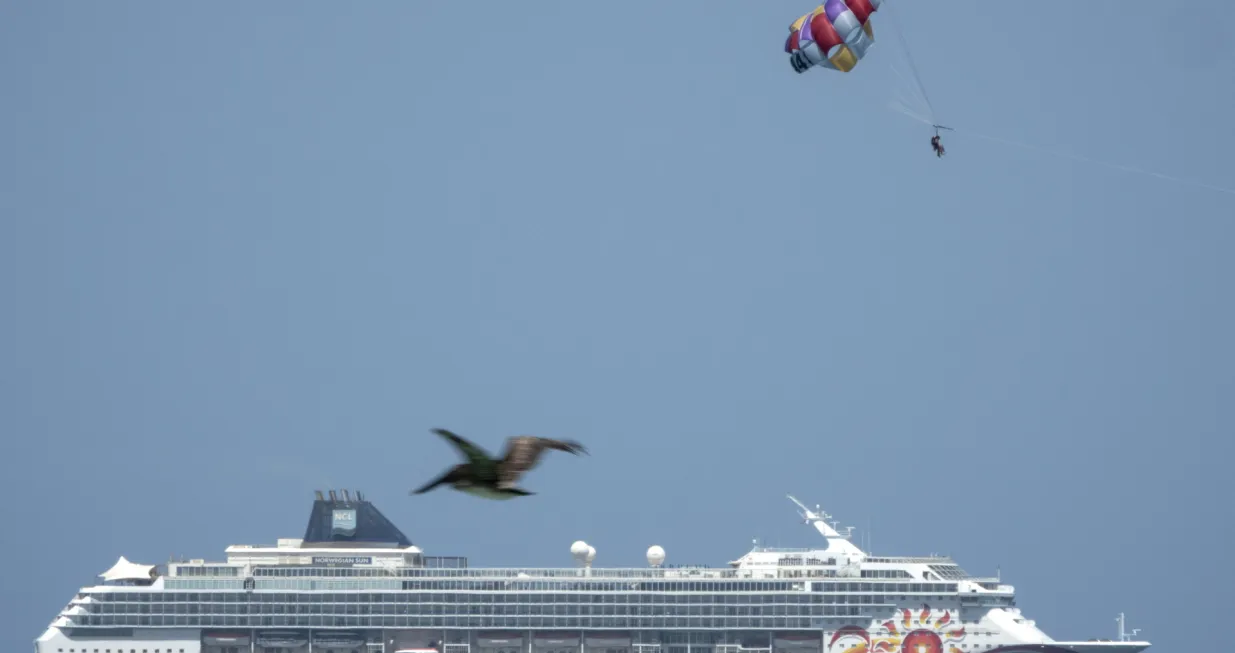 epa08521820 The Norwegian Sun cruiser is seen outside Miami's Port, Florida, USA, 01 July 2020. Florida now has a total of 158,997 confirmed cases and 3,550 deaths. Nine of the new deaths were in Miami-Dade County, bringing the county's death toll to 1,000. EPA/CRISTOBAL HERRERA/Cristobal Herrera