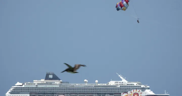 epa08521820 The Norwegian Sun cruiser is seen outside Miami's Port, Florida, USA, 01 July 2020. Florida now has a total of 158,997 confirmed cases and 3,550 deaths. Nine of the new deaths were in Miami-Dade County, bringing the county's death toll to 1,000. EPA/CRISTOBAL HERRERA/Cristobal Herrera