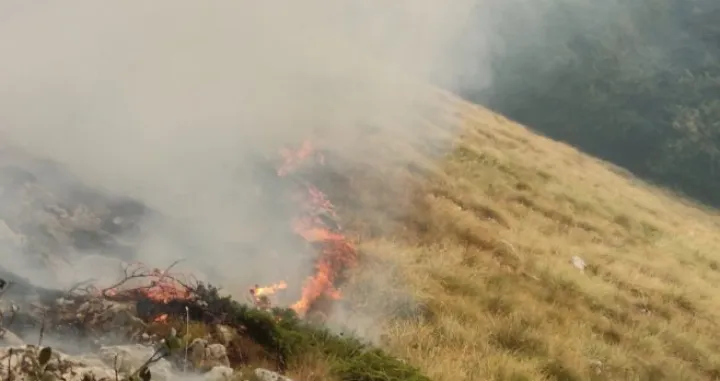 Požar na Zelengori/RTRS/