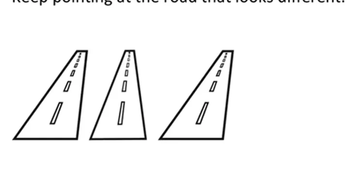 Samo ljudi koji imaju visok IQ vide razliku/Youtube/@theillusioncontest