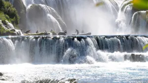 Ovog vikenda završena je 50. Una-regata/NP Una/