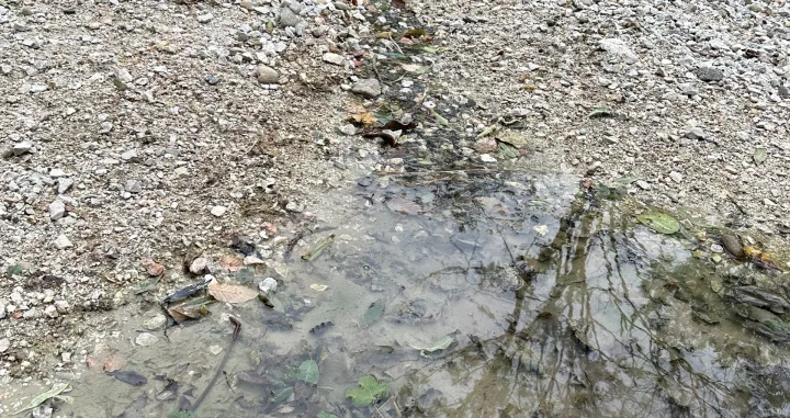 Kopanje Litijuma kod Lopara/Ragib Džindo