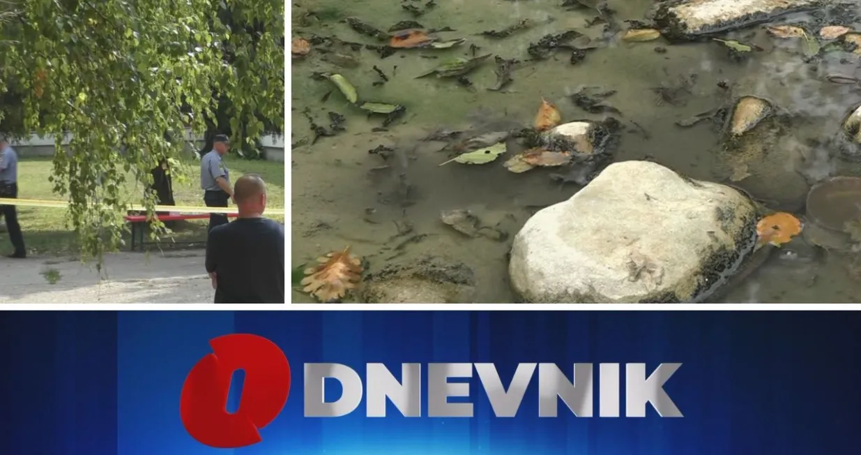 Izdvojeno iz O Dnevnika/