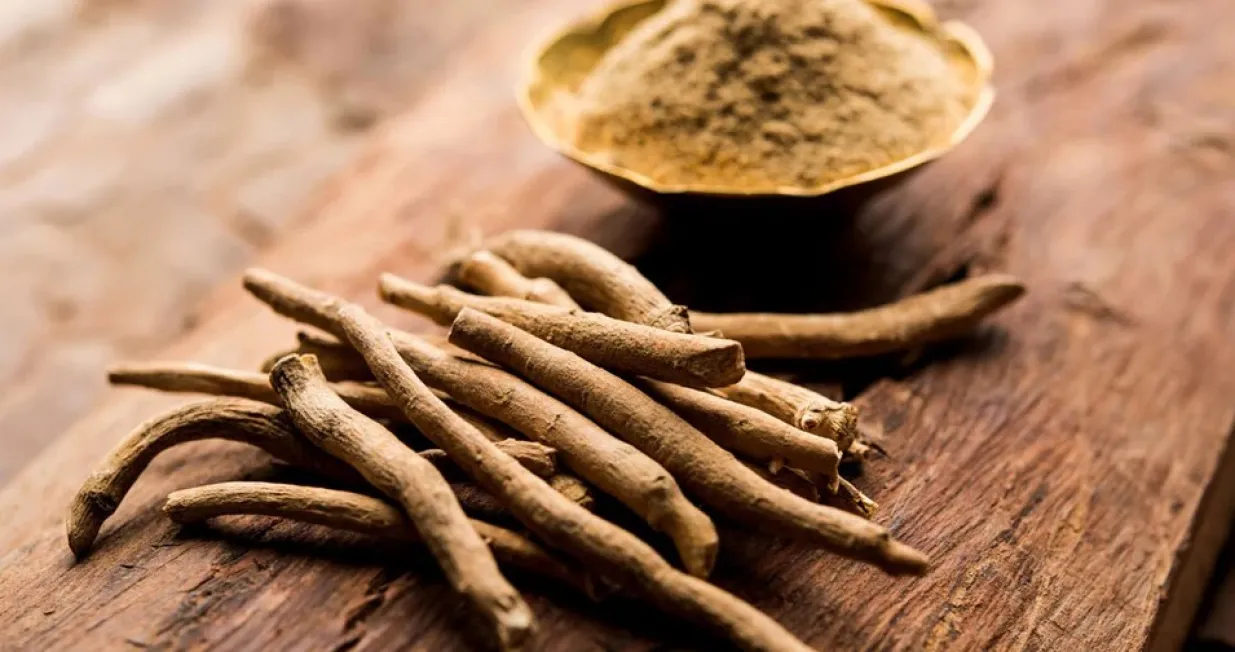 Kod a&scaron;vagande se koristi korjen u prahu/Ilustracija/