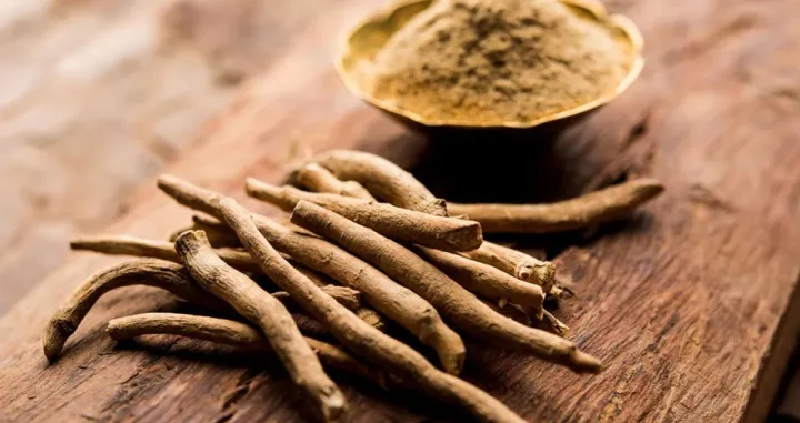 Kod ašvagande se koristi korjen u prahu/Ilustracija/