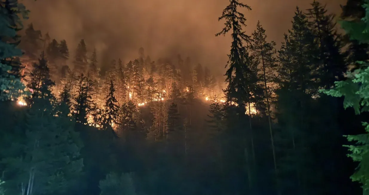 Radio Kladanj požar na planini Konjuh/