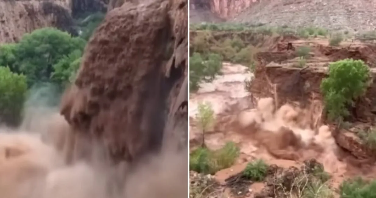 Intervenirali i spasioci/Printscreen/You Tube/