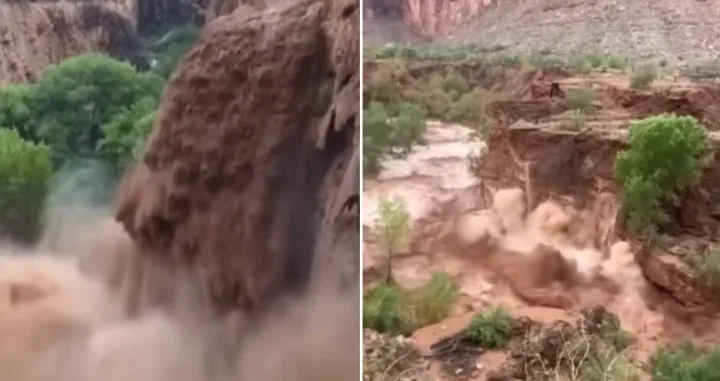 Intervenirali i spasioci/Printscreen/You Tube/