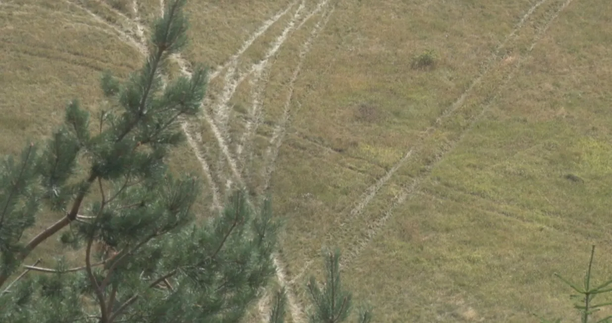 Blizu mjesta nesreće/ Oslobođenje/