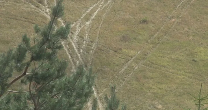 Blizu mjesta nesreće/ Oslobođenje/