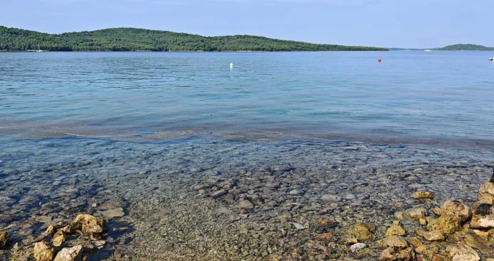 Neobična sluz u Jadranu/ Morski.hr/