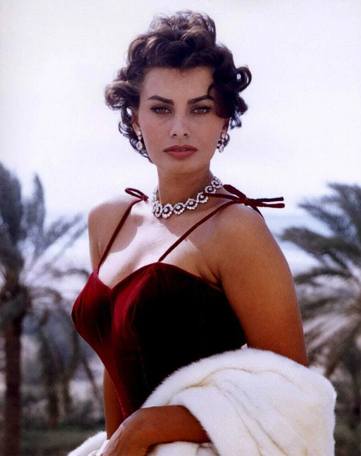 Sophia Loren/
