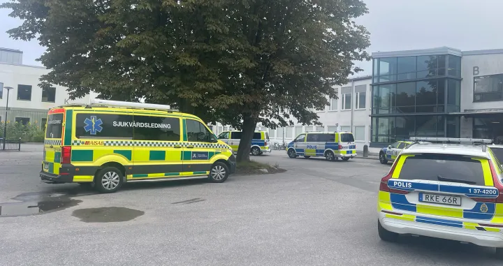 Interveniralii &scaron;vedski policajci/X.com/