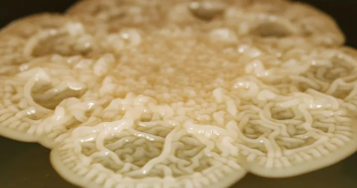 Kolonija bakterije zubnog plaka Corynebacterium matruchotii. (Scott Chimileski/Morska biolo&scaron;ka laboratorija)/