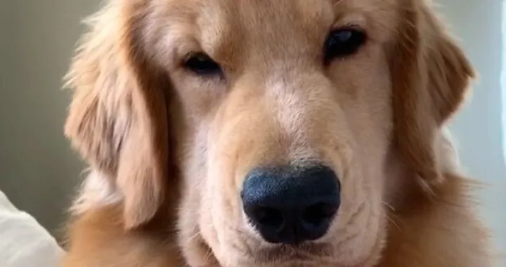 tuckerbudzyn/Facebook/