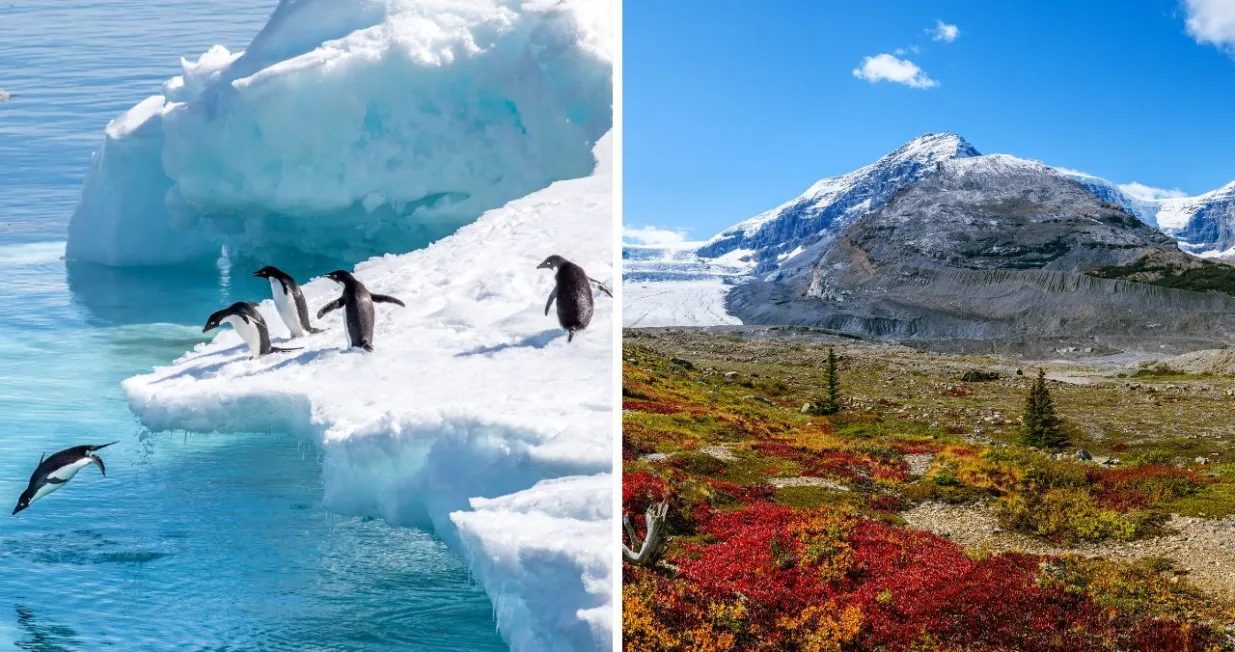 Antarktik nije uvijek bio ledena pustinja/